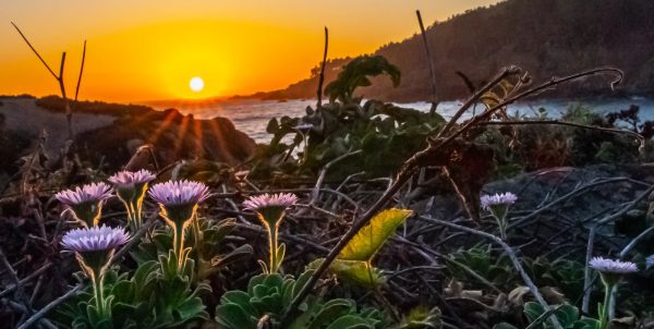 Sunset over the Sonoma Coast