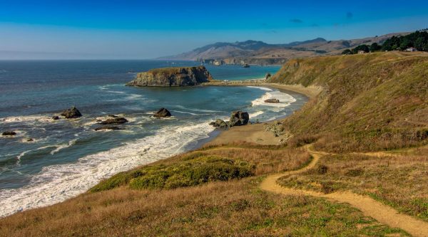 The Sonoma Coast