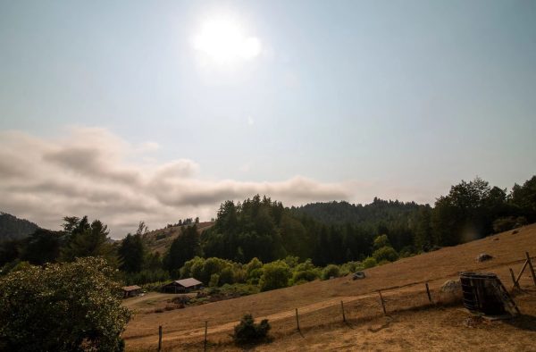 Sonoma County hills