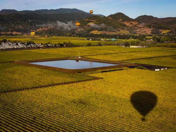 Hot air balloon over Sonoma County vineyards